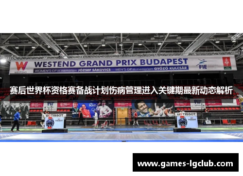 赛后世界杯资格赛备战计划伤病管理进入关键期最新动态解析
